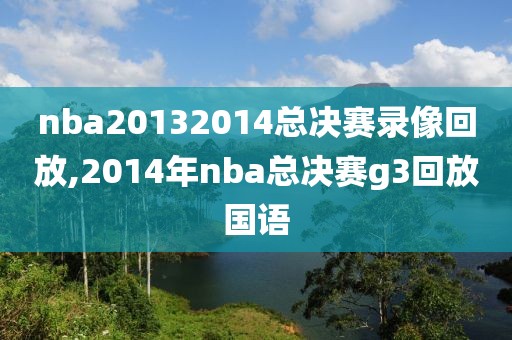 nba20132014总决赛录像回放,2014年nba总决赛g3回放国语