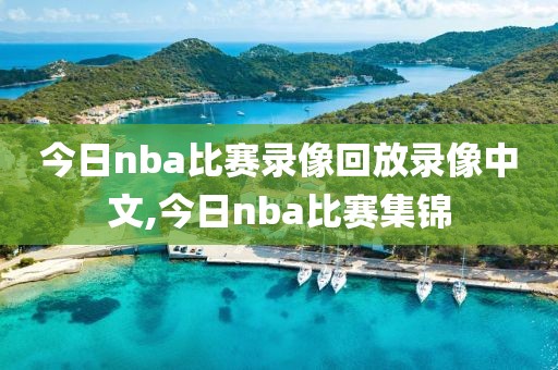 今日nba比赛录像回放录像中文,今日nba比赛集锦