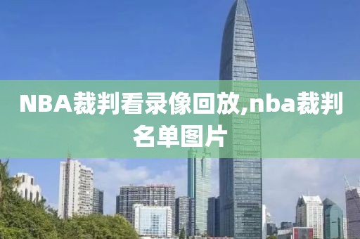 NBA裁判看录像回放,nba裁判名单图片