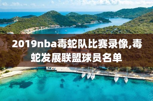 2019nba毒蛇队比赛录像,毒蛇发展联盟球员名单