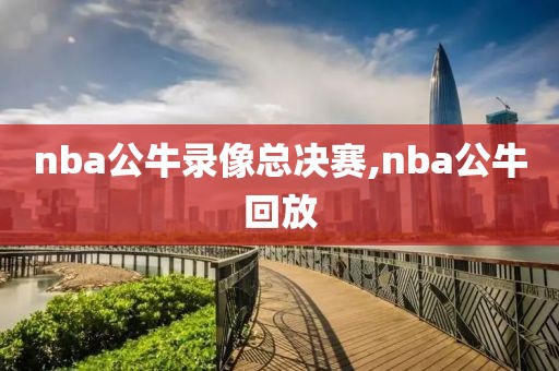 nba公牛录像总决赛,nba公牛回放