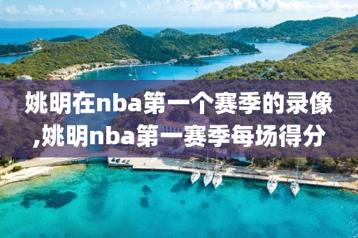 姚明在nba第一个赛季的录像,姚明nba第一赛季每场得分