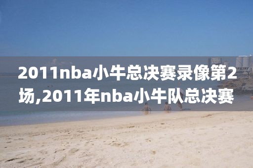 2011nba小牛总决赛录像第2场,2011年nba小牛队总决赛