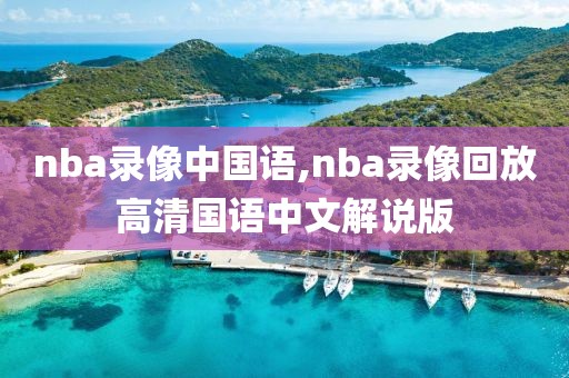 nba录像中国语,nba录像回放高清国语中文解说版