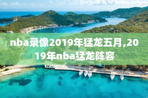 nba录像2019年猛龙五月,2019年nba猛龙阵容