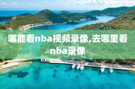 哪能看nba视频录像,去哪里看nba录像