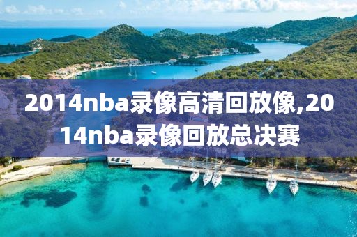 2014nba录像高清回放像,2014nba录像回放总决赛