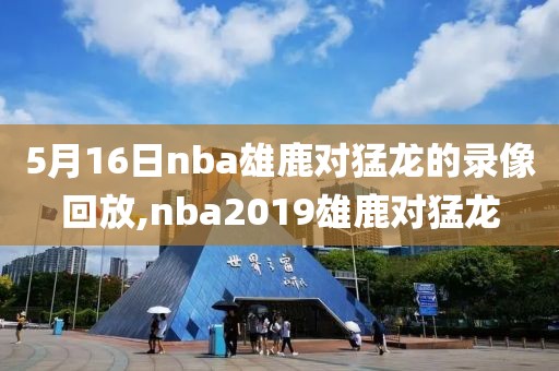5月16日nba雄鹿对猛龙的录像回放,nba2019雄鹿对猛龙