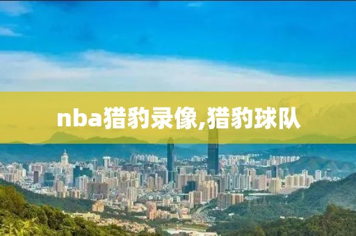 nba猎豹录像,猎豹球队