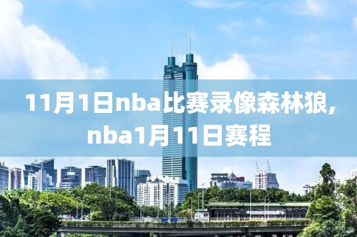 11月1日nba比赛录像森林狼,nba1月11日赛程