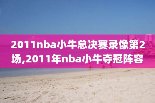 2011nba小牛总决赛录像第2场,2011年nba小牛夺冠阵容