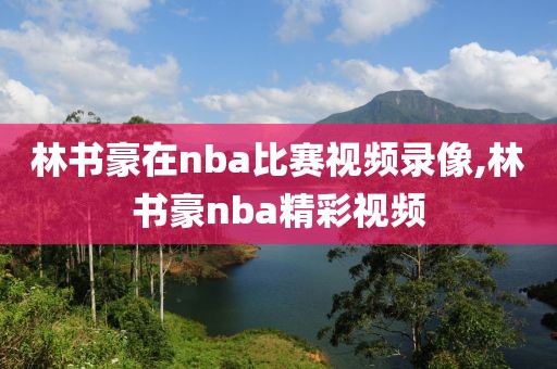 林书豪在nba比赛视频录像,林书豪nba精彩视频