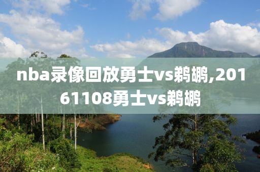 nba录像回放勇士vs鹈鹕,20161108勇士vs鹈鹕