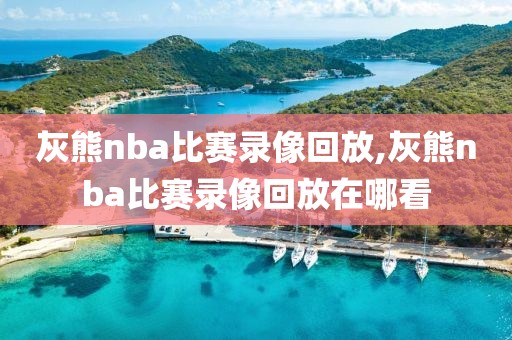 灰熊nba比赛录像回放,灰熊nba比赛录像回放在哪看